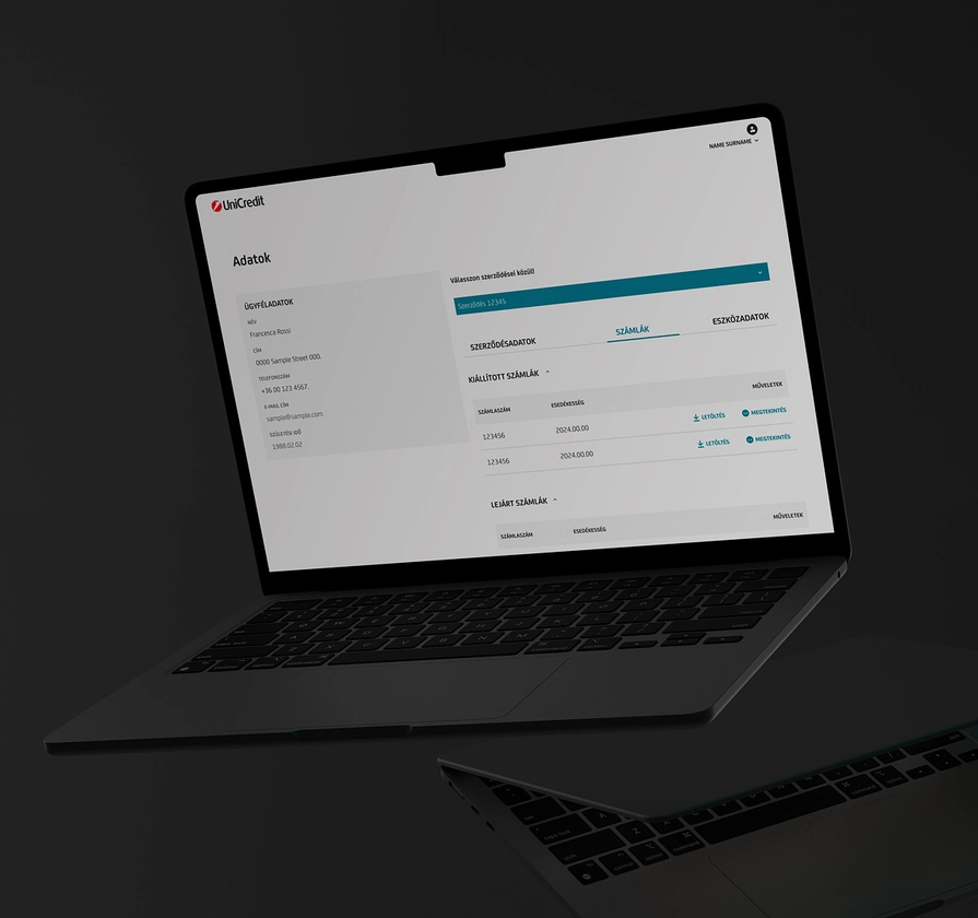 picture of the opened client portal of UniCredit Leasing