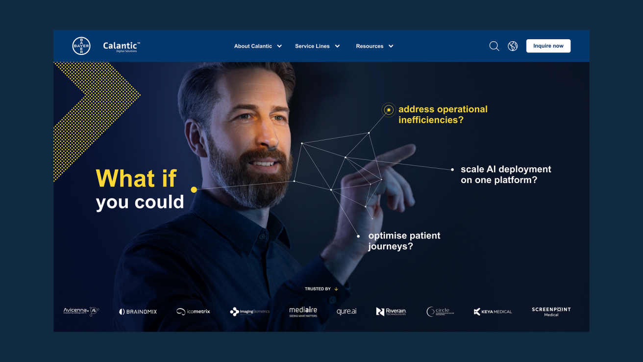 Picture of the header of Bayers Calantic website, designed by Lampyon